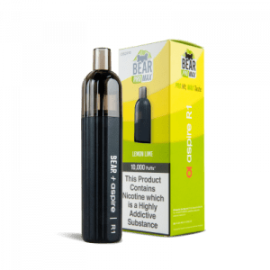 Bear Pro Max 10,000